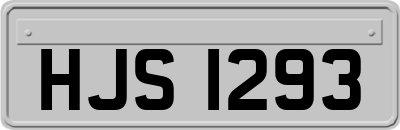 HJS1293