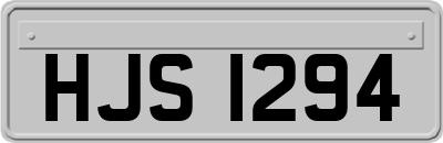 HJS1294