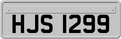 HJS1299