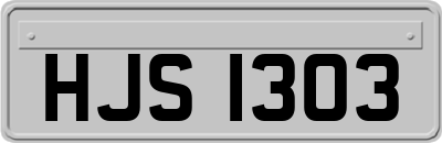 HJS1303