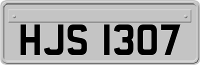 HJS1307