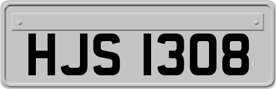 HJS1308