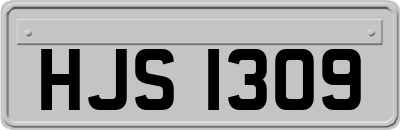 HJS1309