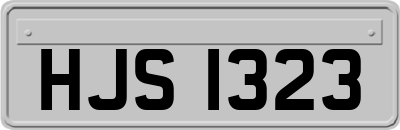 HJS1323
