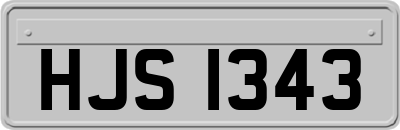 HJS1343