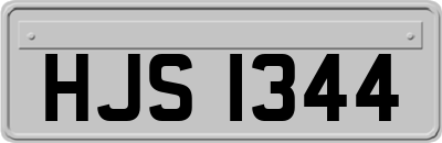 HJS1344