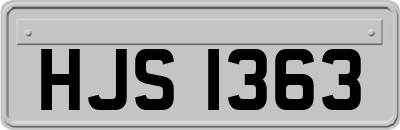 HJS1363