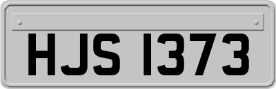HJS1373