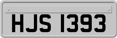 HJS1393