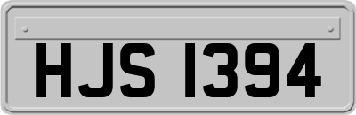 HJS1394