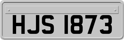 HJS1873