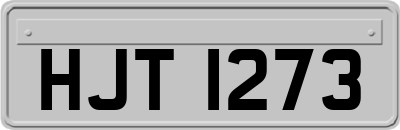 HJT1273