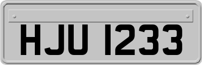 HJU1233