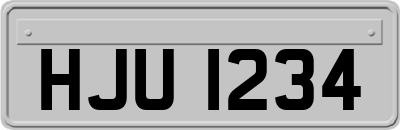 HJU1234