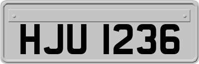 HJU1236