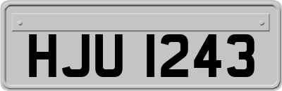 HJU1243