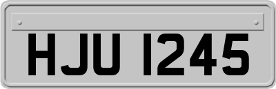 HJU1245