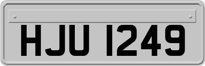 HJU1249