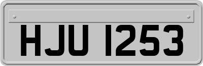HJU1253