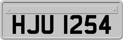 HJU1254