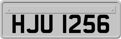 HJU1256