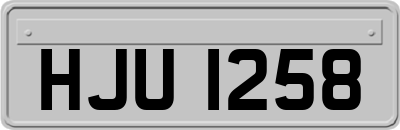 HJU1258