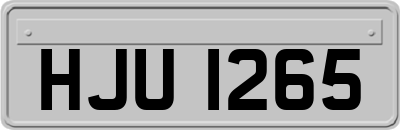 HJU1265
