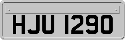 HJU1290