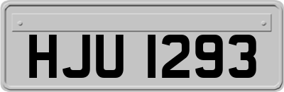 HJU1293