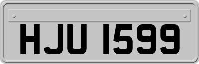 HJU1599