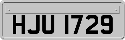 HJU1729