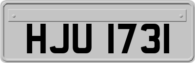 HJU1731