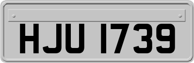 HJU1739