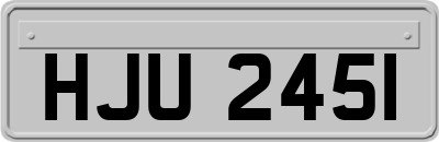 HJU2451