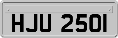 HJU2501