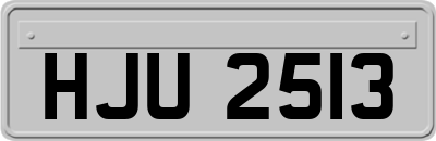 HJU2513
