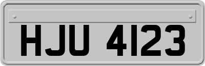 HJU4123
