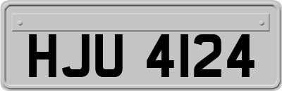 HJU4124