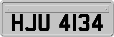 HJU4134