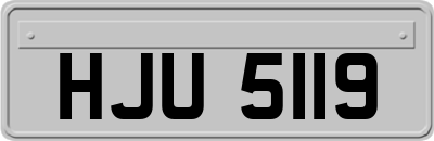 HJU5119