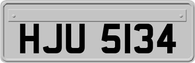 HJU5134