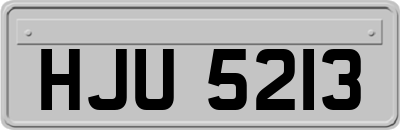 HJU5213