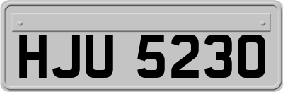HJU5230