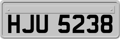 HJU5238