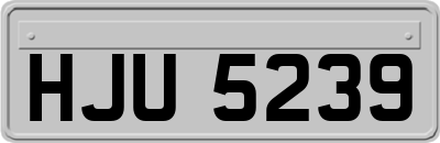 HJU5239