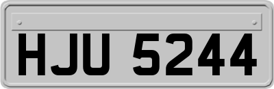 HJU5244