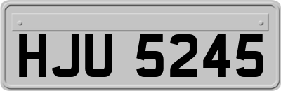 HJU5245