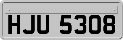 HJU5308