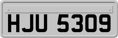 HJU5309