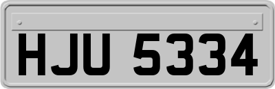HJU5334